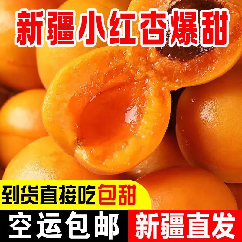 【新疆空运直发】新疆四团小红杏纯甜无酸一杏两吃