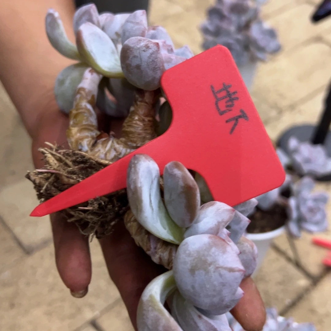 地***下我不喜欢这样一天都