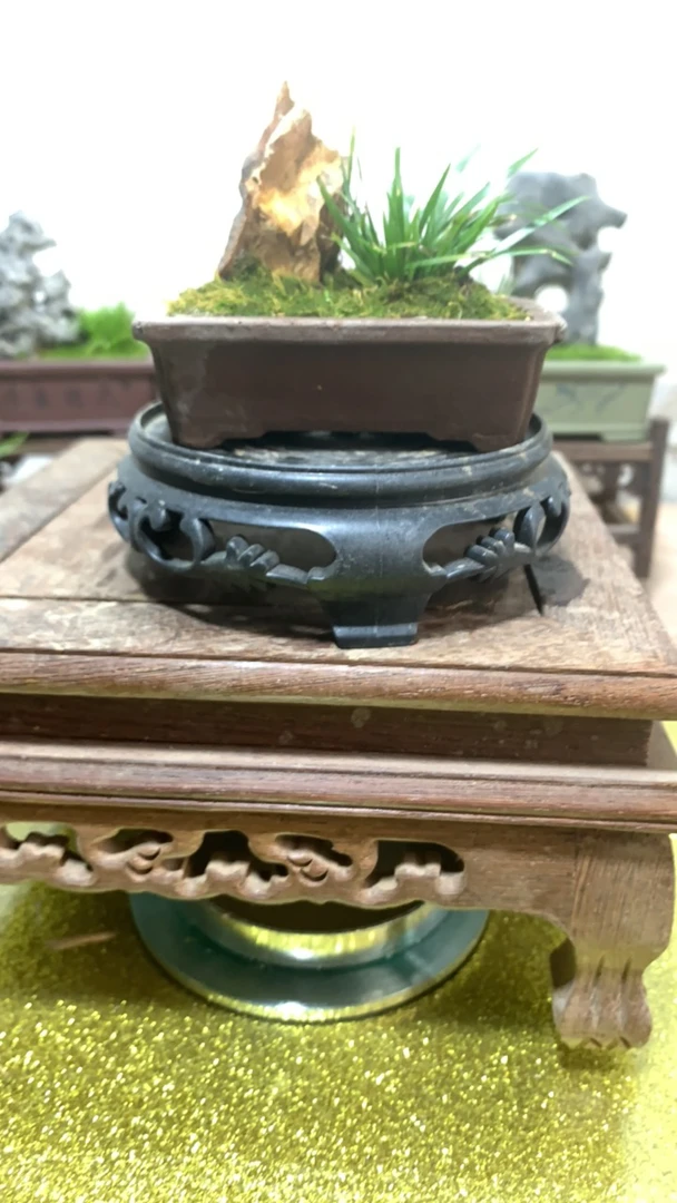 花盆托盘底托加厚，紫砂花盆小盆景。