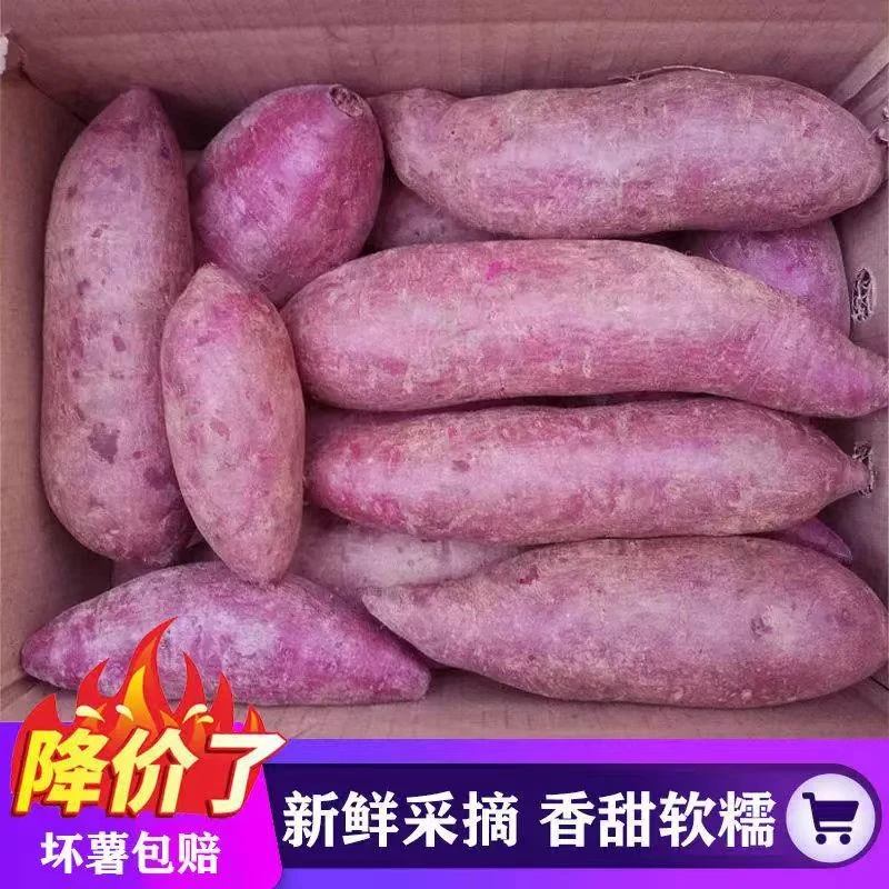 紫蜜薯新鲜现挖番薯地瓜蜜薯农家种植
