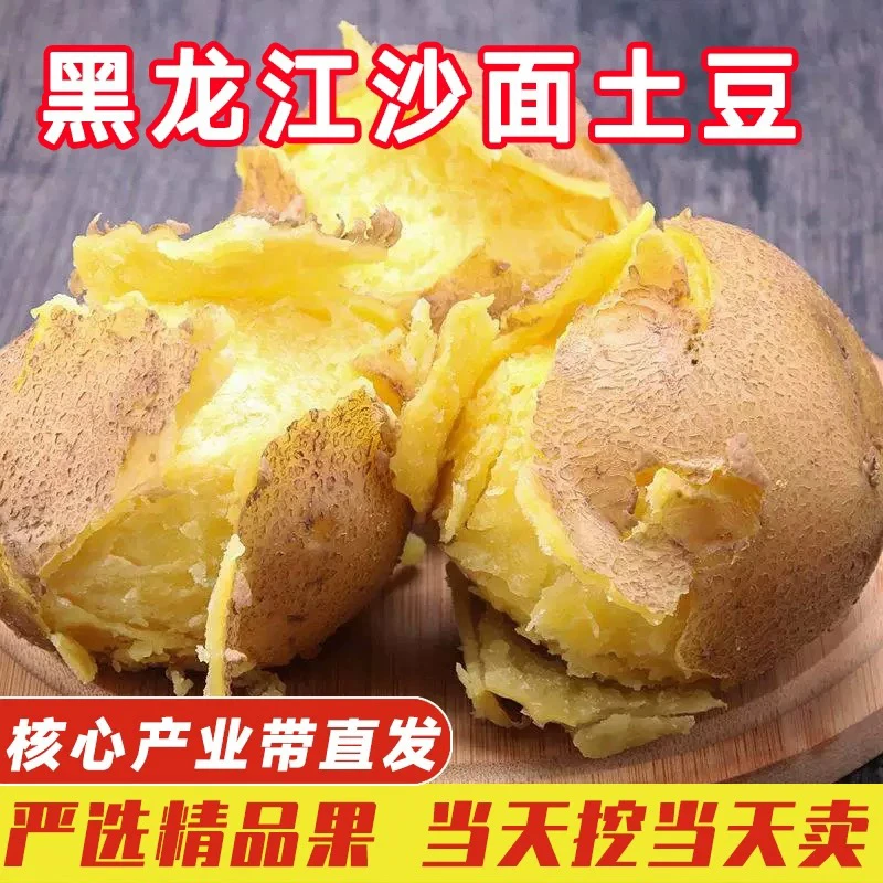 2025年东北黑龙江大地黄皮黄心直发土豆