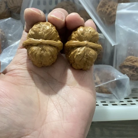 R***把件文玩核桃哈哈哈