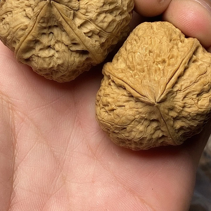 把件文玩核桃志成云铁文玩26