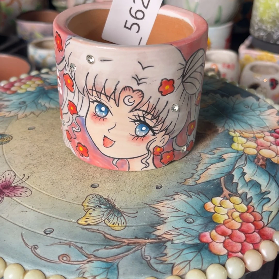 奈***米562多肉花盆45元1个