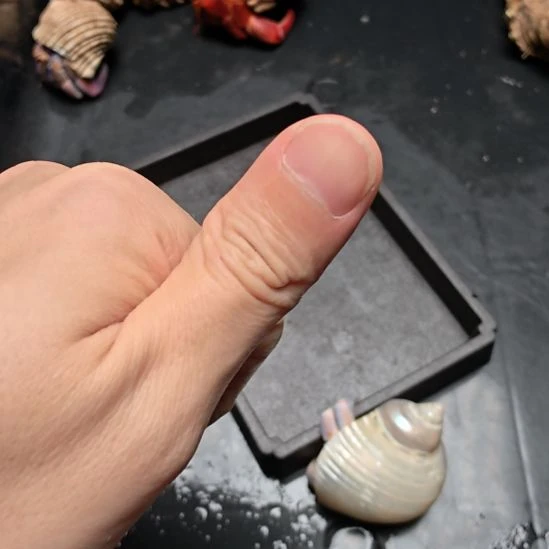 给兔子哥点赞yeah非实物