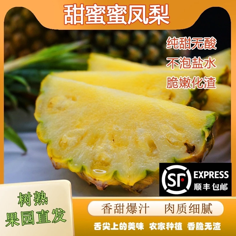 （顺丰）甜蜜蜜凤梨西双版纳特产树熟采摘产地直发新鲜直达多汁