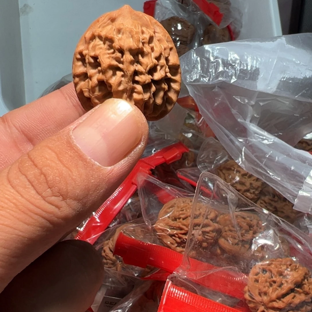 文玩核桃，秦闷小手捻