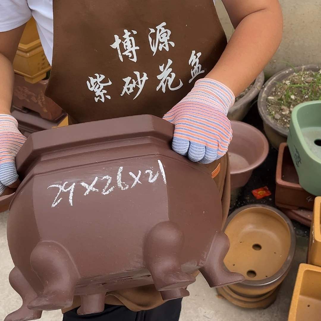 紫砂花盆盆景艺术