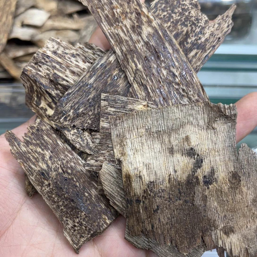 香榧木海南尖峰岭排油老料12g