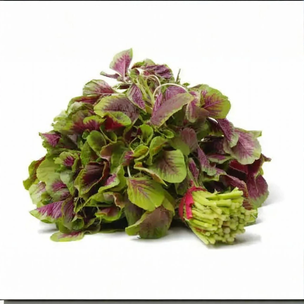 汉菜（500-1000g）蔬菜
