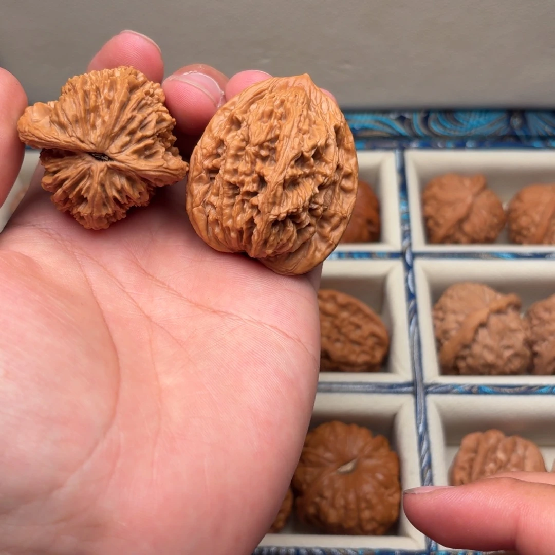 41全品麦穗虎头精对
