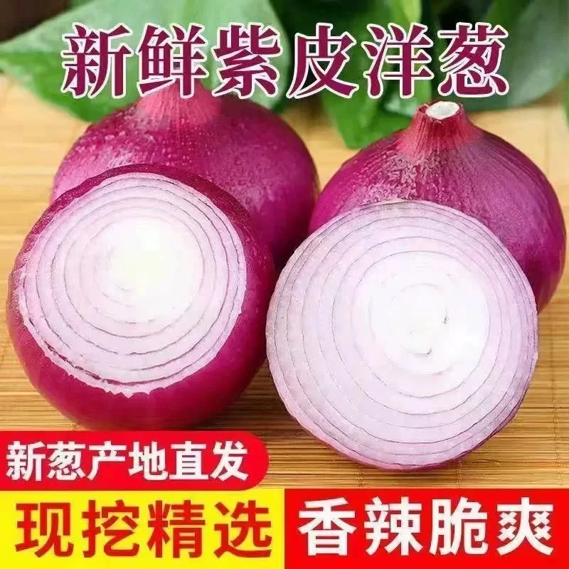 湖南新鲜紫洋葱当季农家自种现挖水果洋葱洋葱头微甜新鲜蔬菜