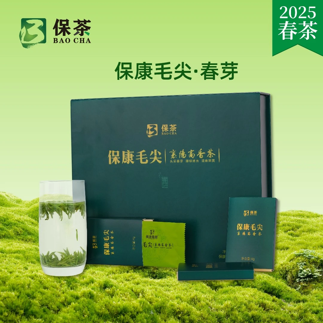BAOCHAGROUP/保茶集团2025新茶襄阳保康春芽保康茶绿茶叶礼盒160g