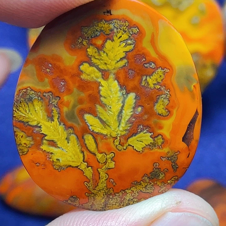 流***星玛瑙/玉髓未镶嵌战国红