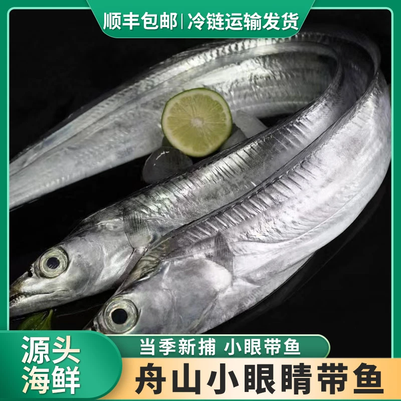 【阿周】舟山新鲜小眼睛海钓带鱼整条鲜带鱼顺丰（3-4两左右） 4斤