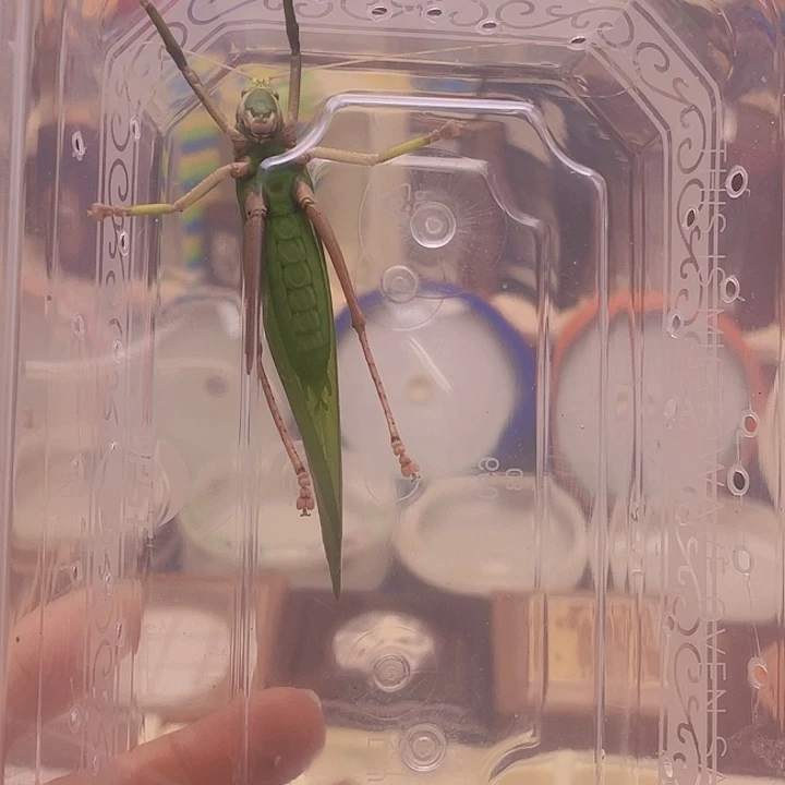 忠***侯素贝1啊啊啊啊啊啊