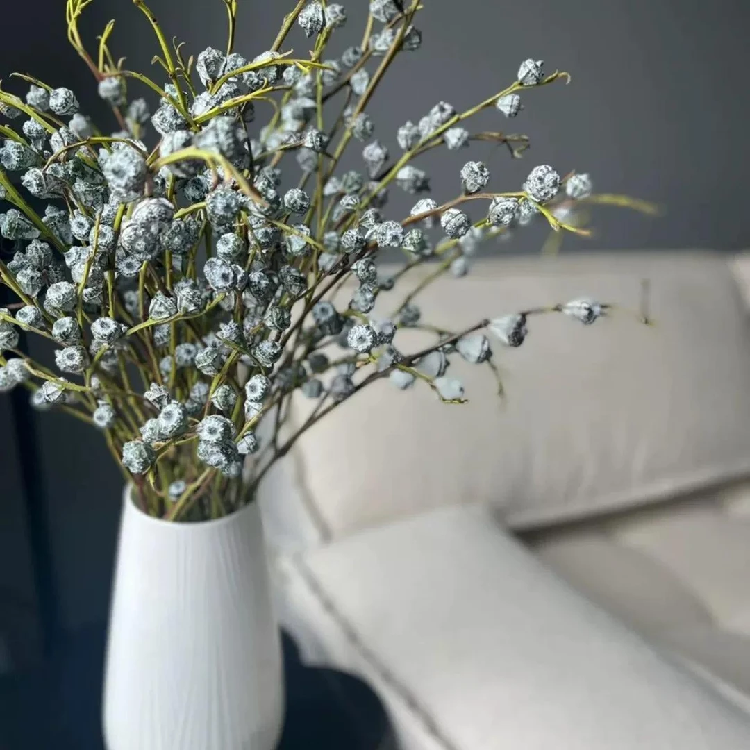 （尤加利果新果）尤加利果鲜切花驱蚊云南鲜花直发超长花期可做干花