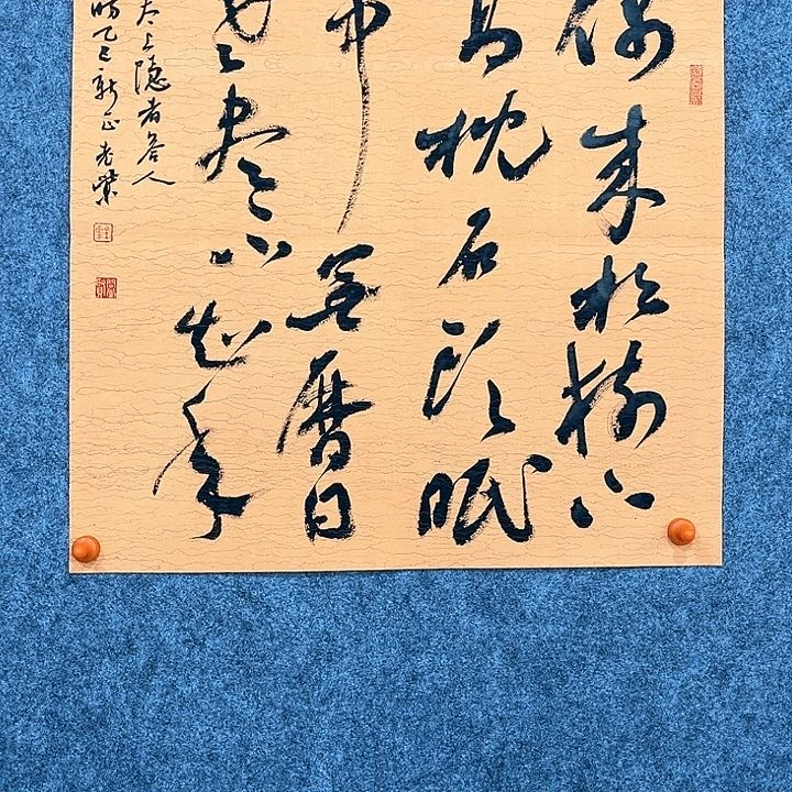 回金华老师作品偶来松树下48×48厘米