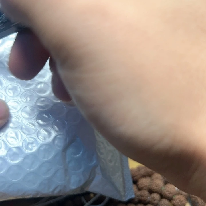 金刚菩提吊坠奇****家蜂王