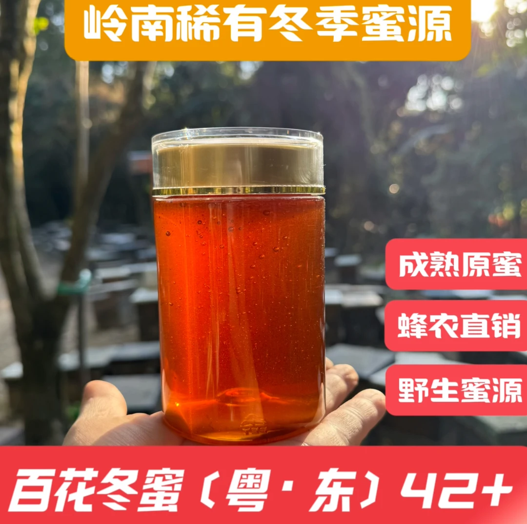 〔百花冬蜜〕孔孔家鸭脚木＋山花蜜 广东冬杂蜜 冬蜜百花 自然成熟