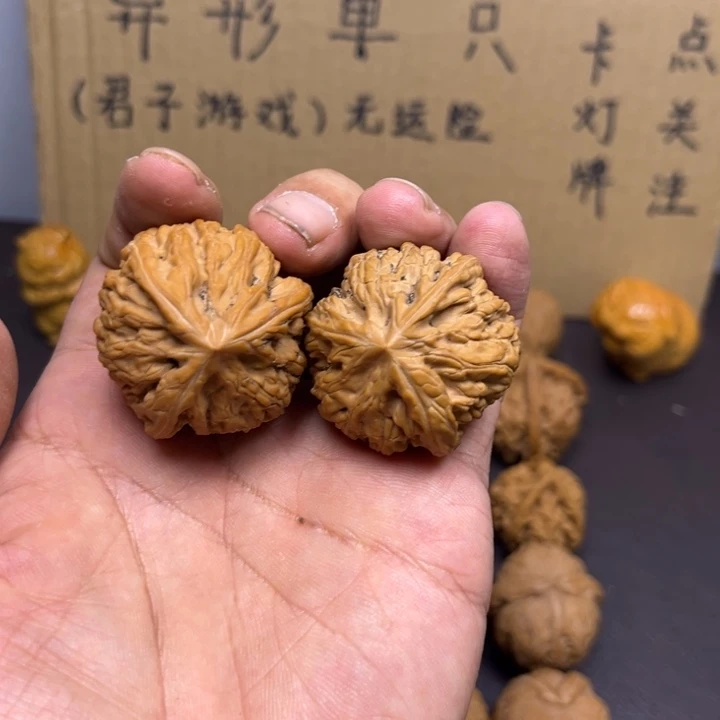 ****侠菩提籽类文山三棱有虫爬痕迹难打底