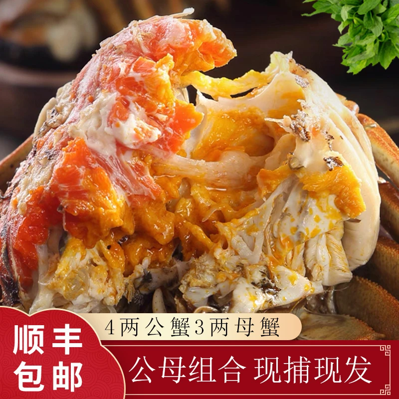 【活蟹】蟹坐标精选公蟹4.0两-3.7两母蟹3.0两-2.7两公母组合大蟹D