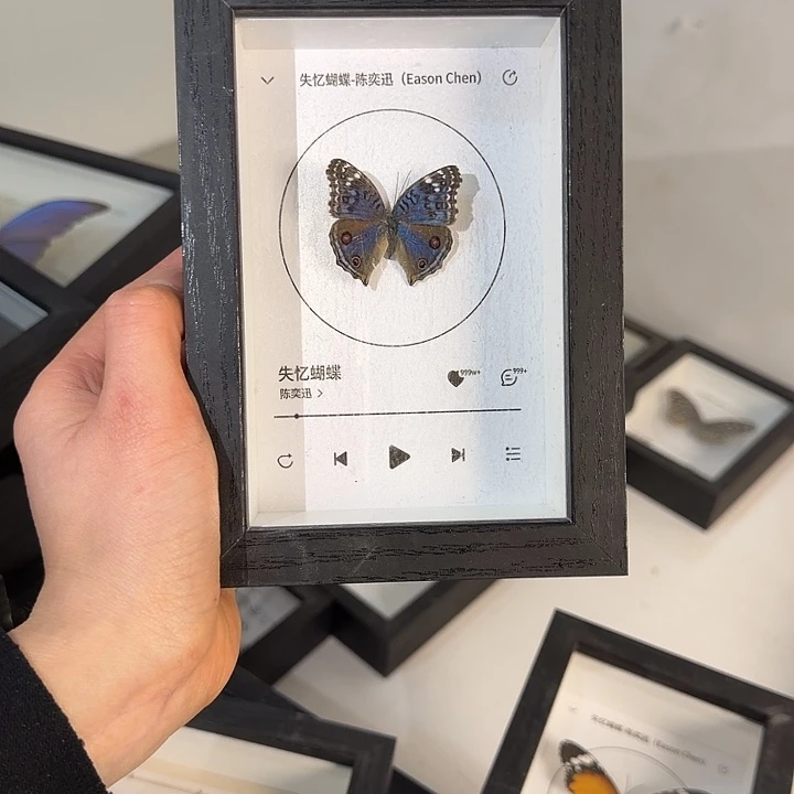 352蝴蝶蝴蝶蝴蝶蝴蝶