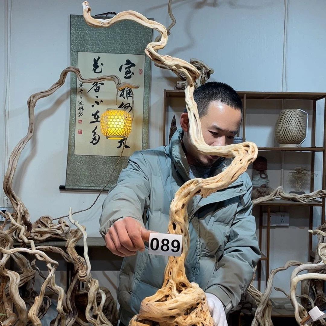 柏木春*杜鹃啼血猿哀鸣