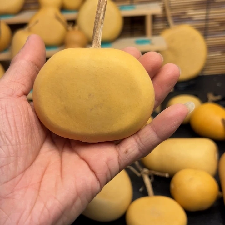 .****关556555556666666999