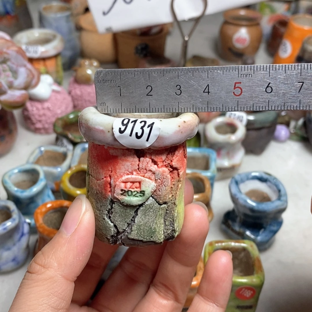 拍3送一个小礼物