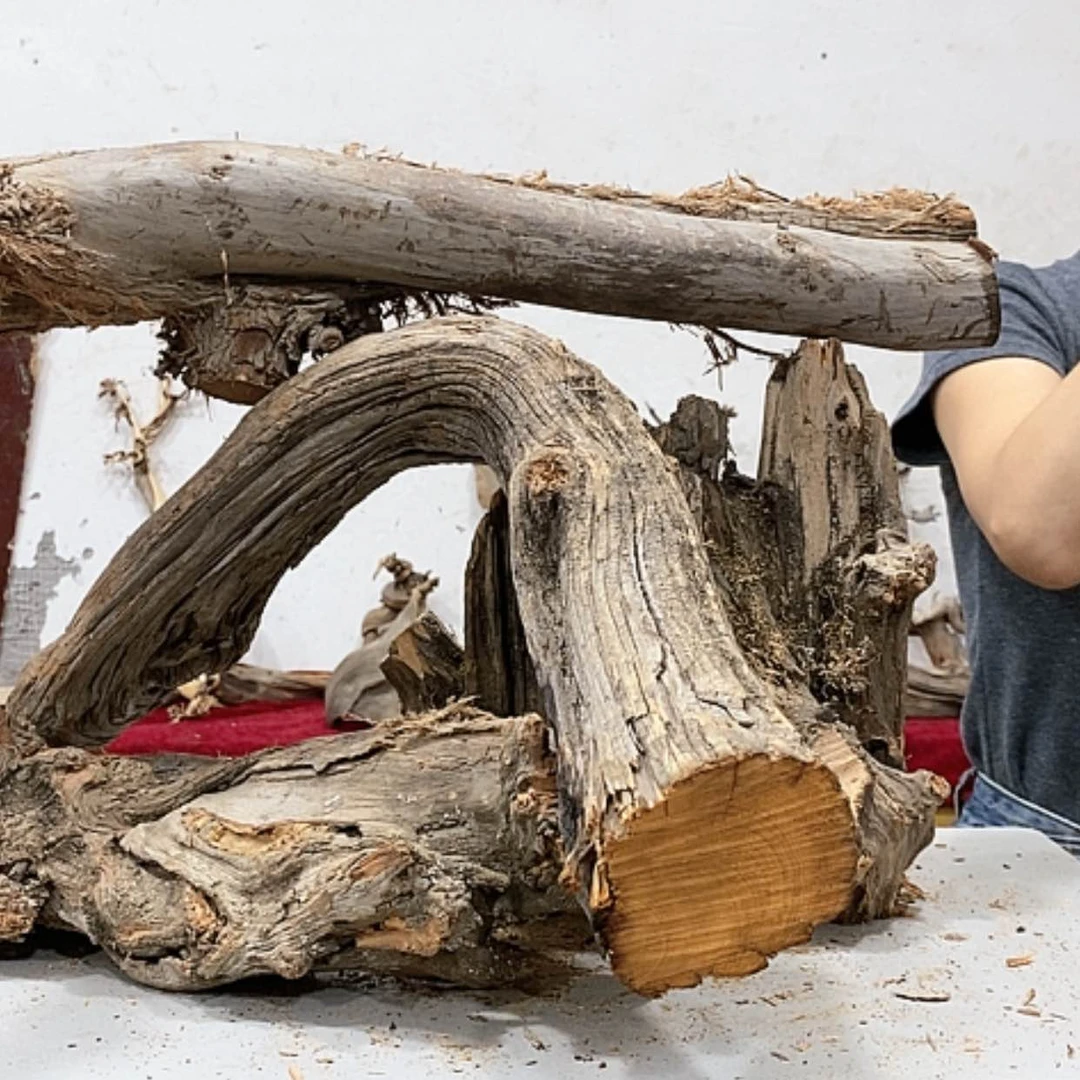 【闪购商品】柏木若*我们都是好孩子