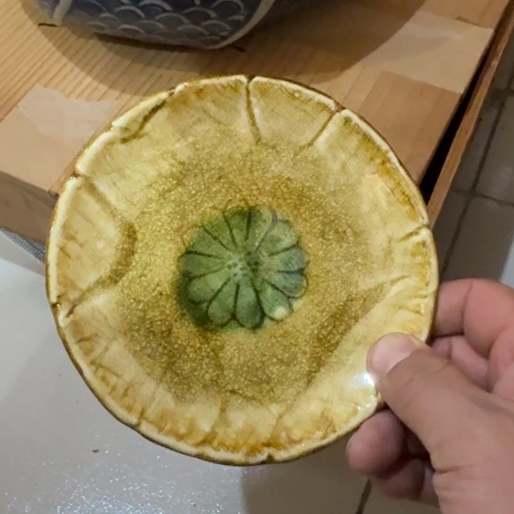 陶盘子啊啊啊啊啊啊啊啊啊