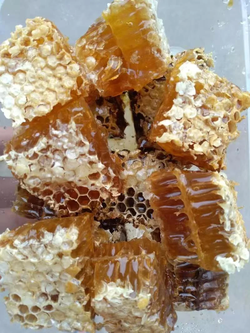 农户自产野蜂蜜（蜂蜜成色随季节花种改变）