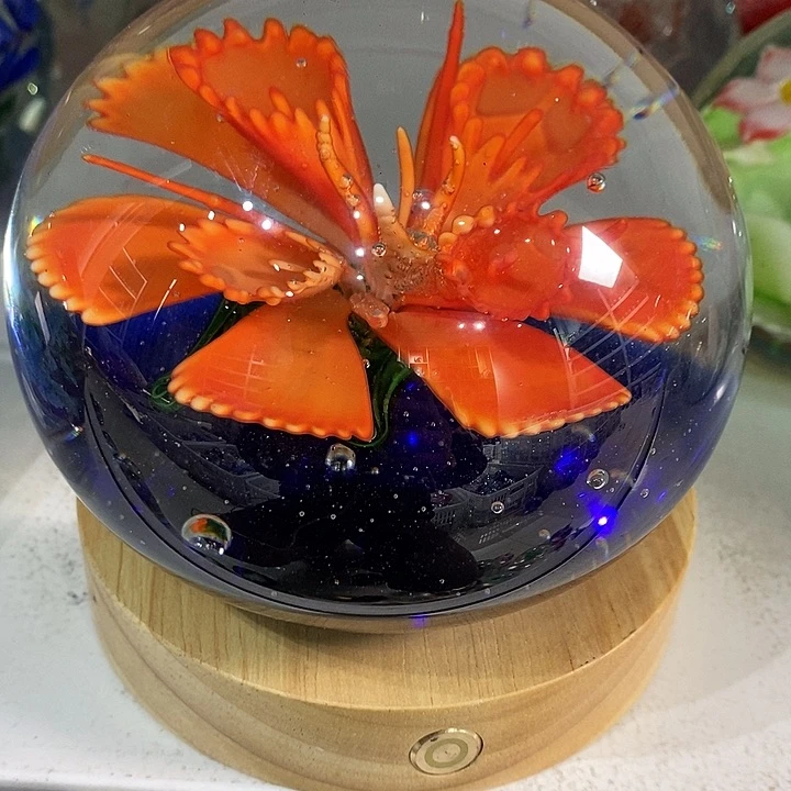 海*微瑕125652553252555588