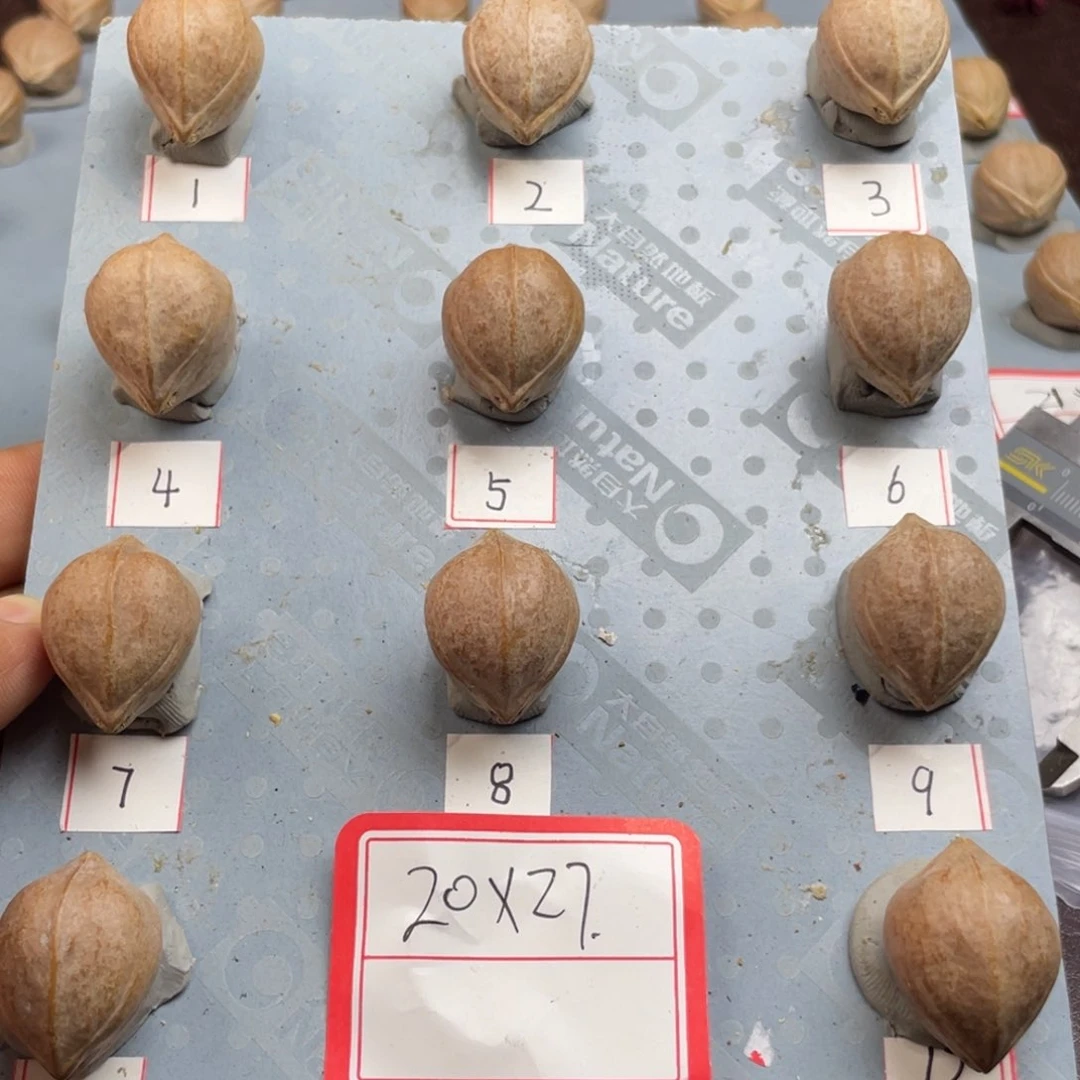 手串/手链橄榄核姜**姜20.27梅林铁