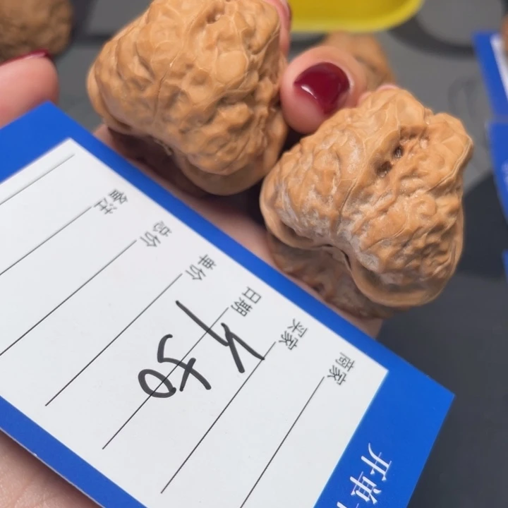 核桃嘎嘎肌肉蛙37.5 41.5 33.5