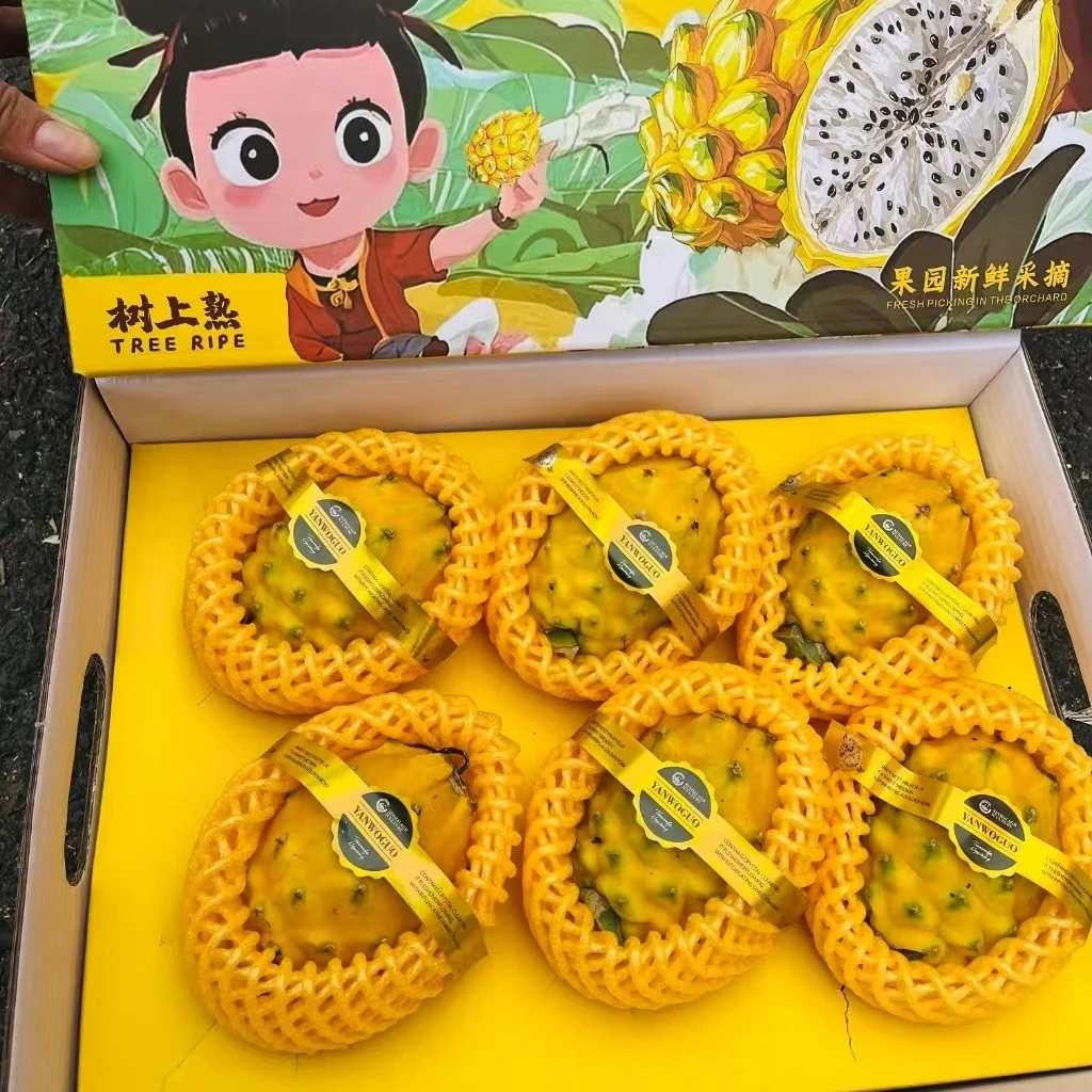 【彤果良品】海南燕窝果礼盒6枚3斤装；甜蜜丝滑
