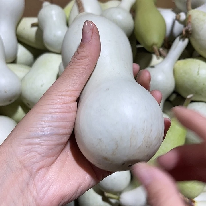 大果紫檀（缅甸花梨）大*哥