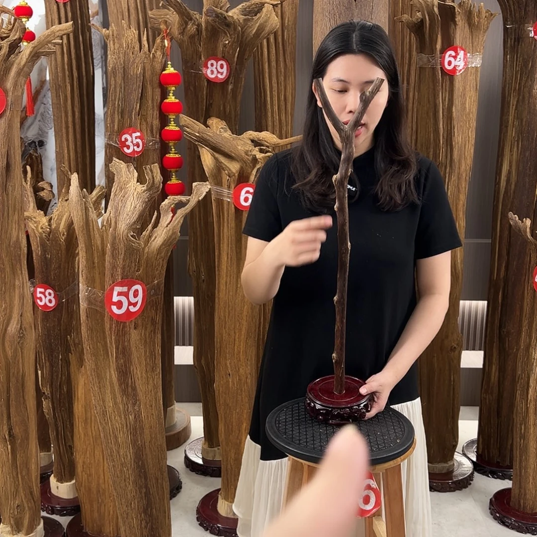 沉香沉香碎屑天然沉香