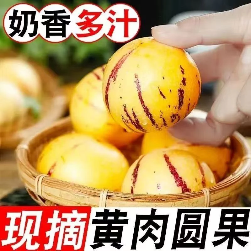 （人参果）云南树熟人参果应季水果孕妇女人老人小孩水果汁多肉黄甜