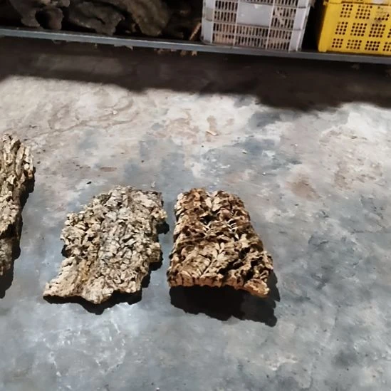 完全开放顺顺利利，平平安安