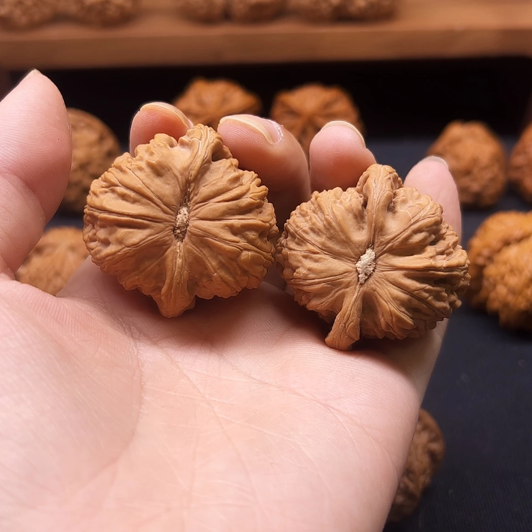 把件核桃白狮子41全品