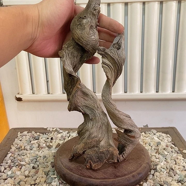 缘***妳柏木崖柏根雕天然艺术