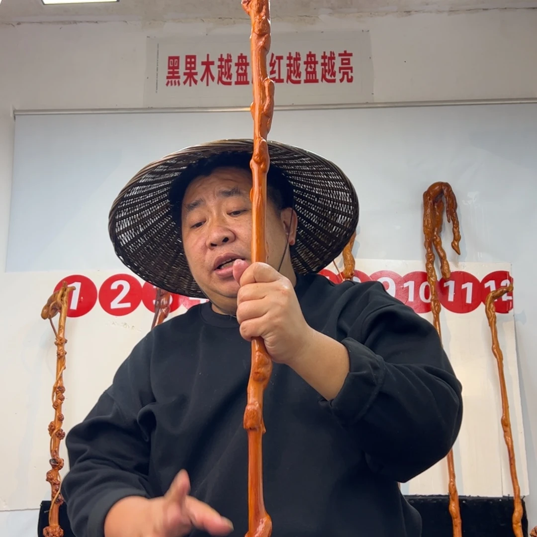 领***周黑果木其他黑果木528