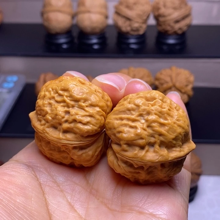 文玩核桃把件卧莲金蟾42