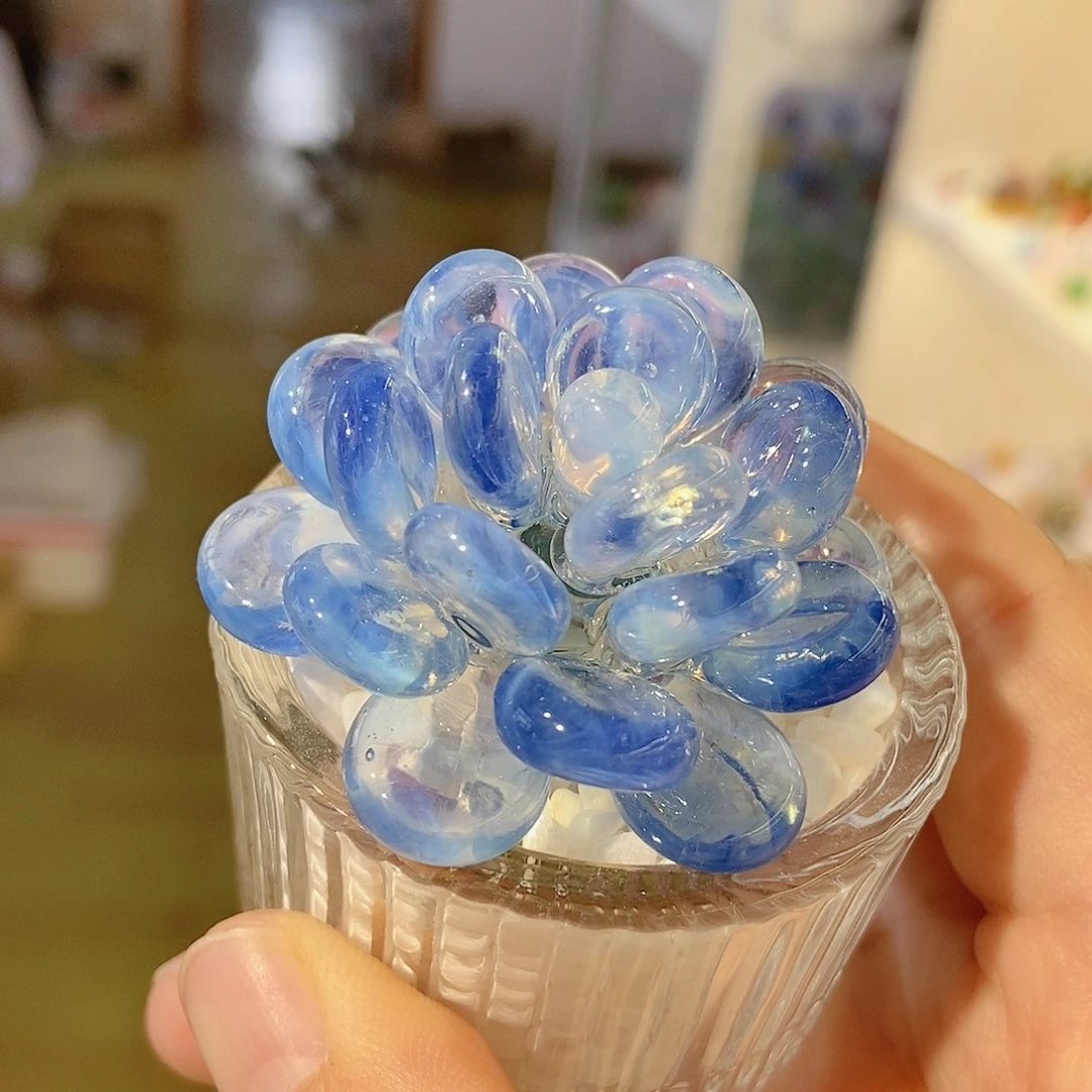 琉璃多肉蓝色幽灵