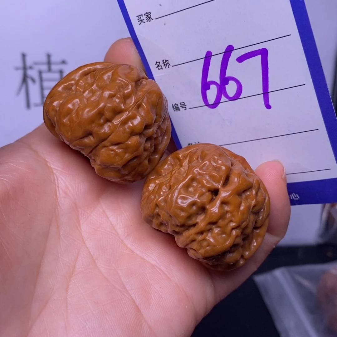 文玩核桃把件667/36蛤蟆头