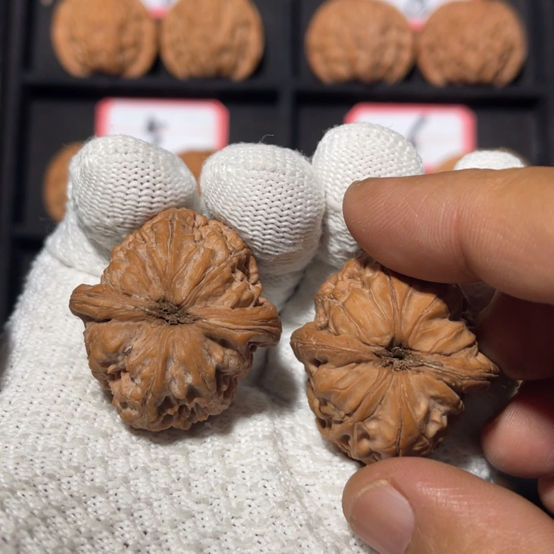 文玩核桃吊坠01秦皇岛山地果全品