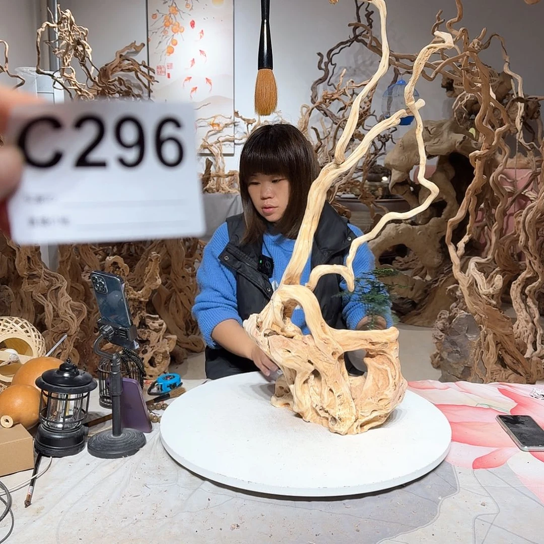 风车木（黑檀木）王