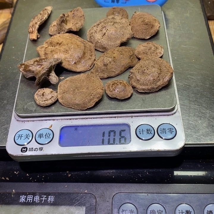 沉香沉香碎屑@*海南